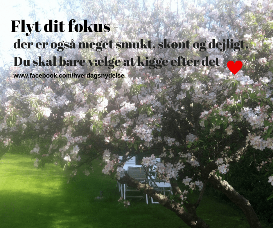 Flyt dit fokus