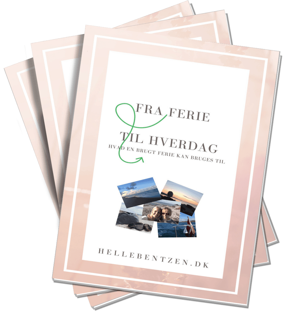 ny ecovermaker billede