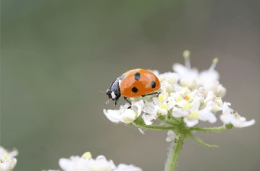 Nærvær - vigtig for dit overskud