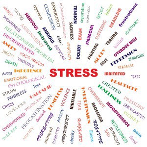 Nærvær er godt stressberedskab