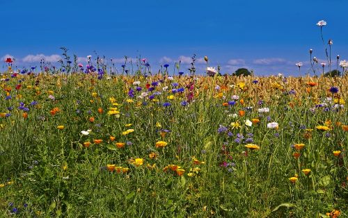 mindre Søvnproblemer i sommervarmen